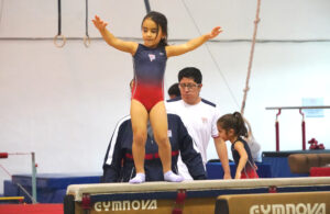 Gimnasia Artística