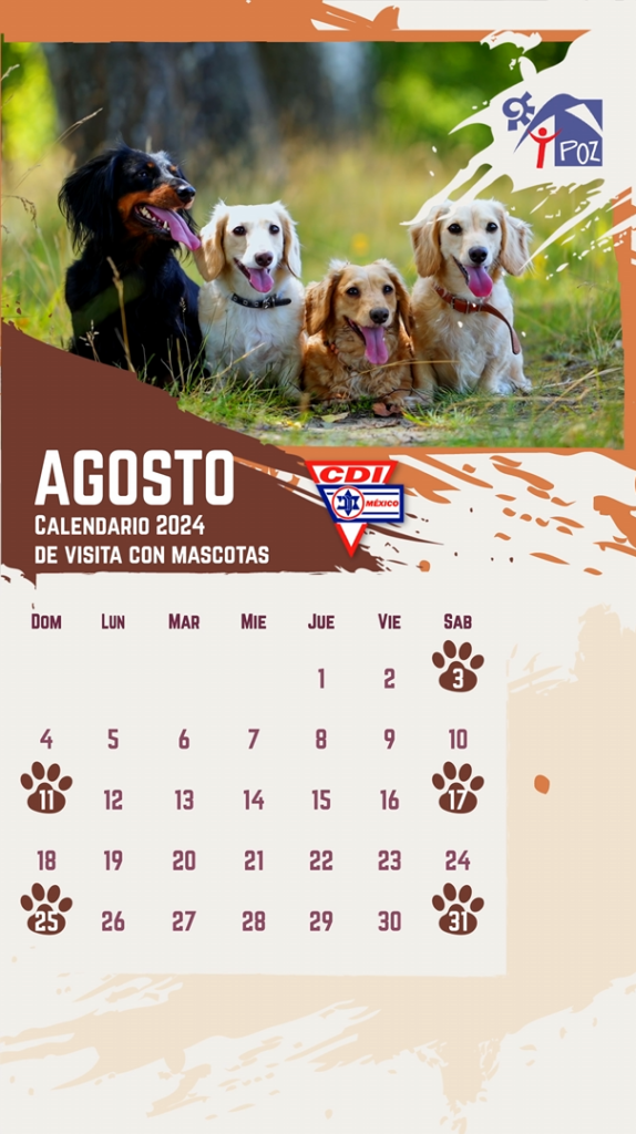 Calendario Mascotas T-Poz