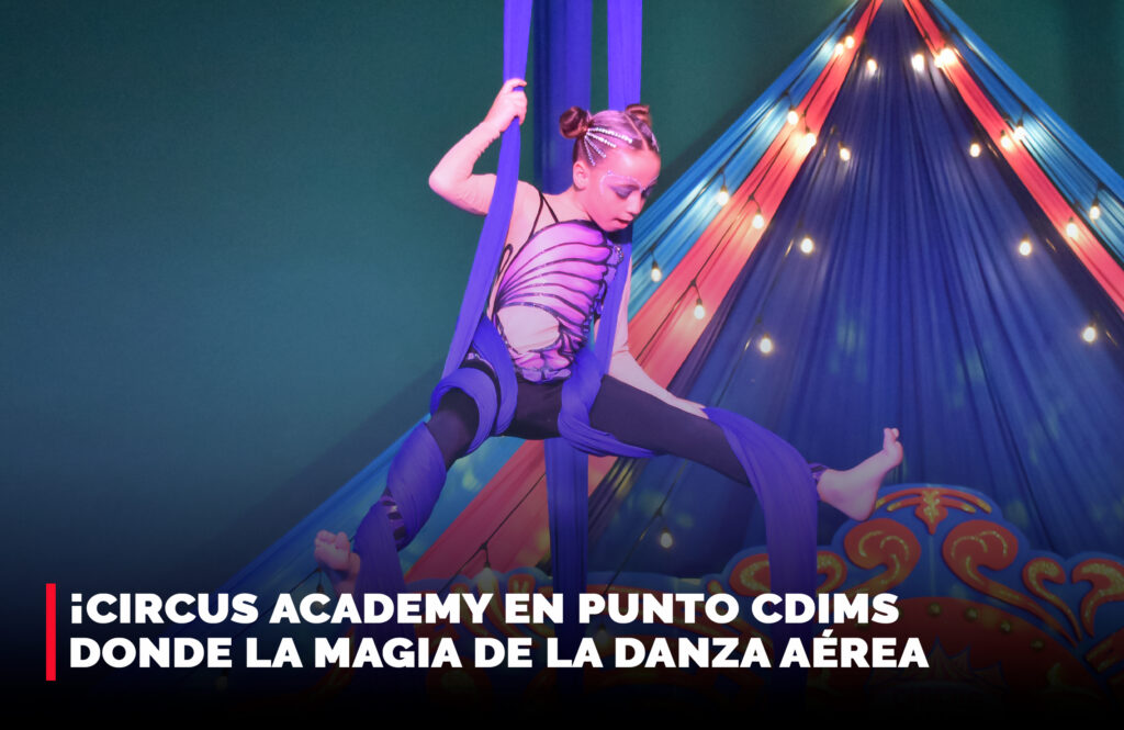 Circus academy