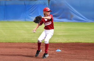 Copa de béisbol