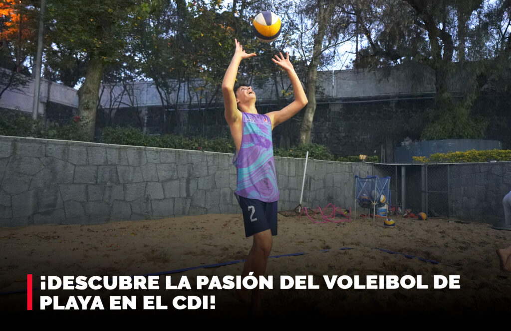 Voleibol